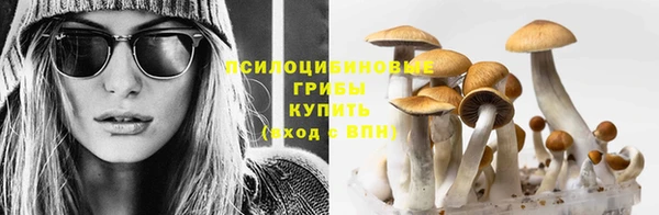 таблы Алексеевка