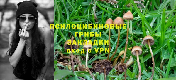 таблы Алексеевка
