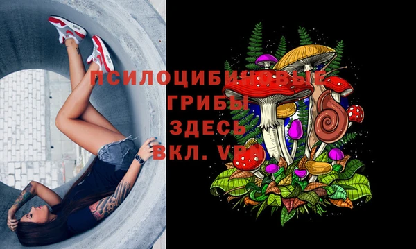 таблы Алексеевка