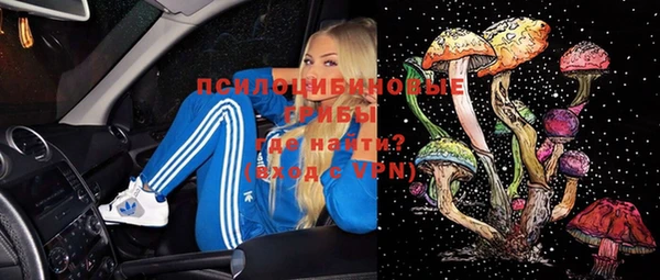 синтетический гашиш Алексин