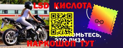 винт Гай
