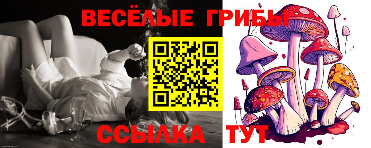 Галлюциногенные грибы мухоморы  Вход с VPN  Пенза  Псилоцибиновые грибы MAGIC MUSHROOMS 